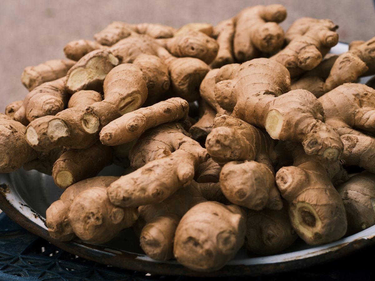 Fresh Indian ginger rhizomes — aromatic, export grade