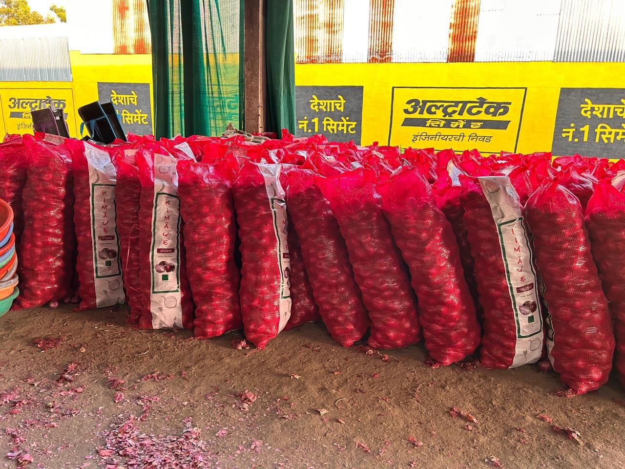 Packed onion bags — red onions packed in mesh bags ready for export